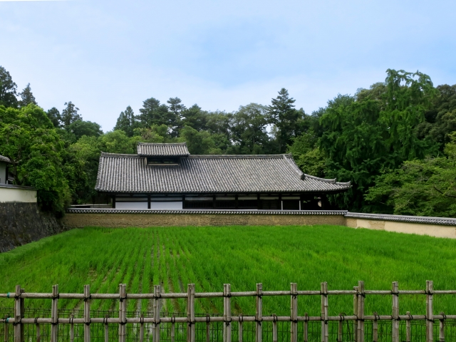 手前に広がる田んぼと、その奥に建つ家屋を写した写真です。
田んぼには水が張られ、周囲の緑を反射してきれいです。
田んぼの向こうには瓦屋根の家があり、日本の田園風景を思わせます。
家は平屋で、白い壁と茶色い瓦屋根が特徴的です。
さらに奥には木々が生い茂り、自然豊かな場所